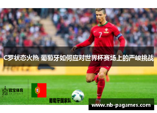 C罗状态火热 葡萄牙如何应对世界杯赛场上的严峻挑战